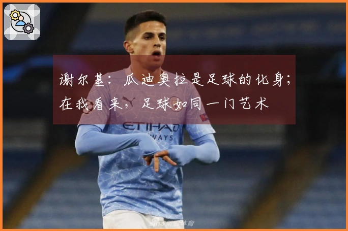 谢尔基：瓜迪奥拉是足球的化身；在我看来，足球如同一门艺术